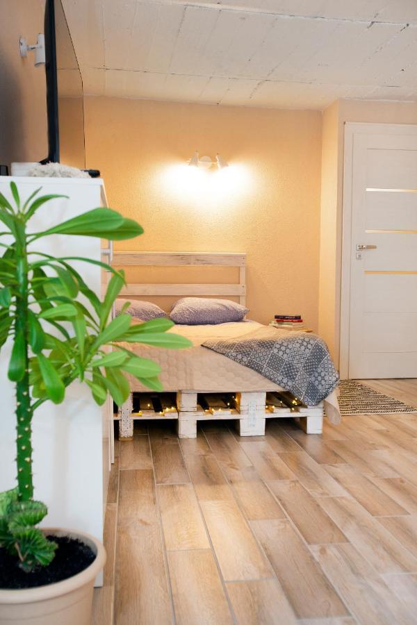 Apartment In Garage With Free Parking Kaunas Eksteriør bilde